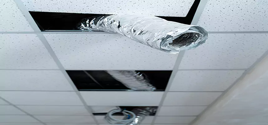 Our Air Duct Pet Hair Removal Services in Stillwater, MN