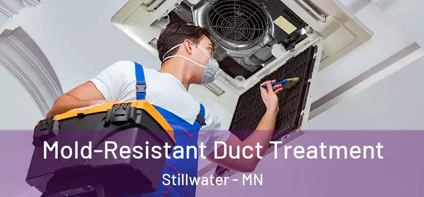  Mold-Resistant Duct Treatment Stillwater - MN