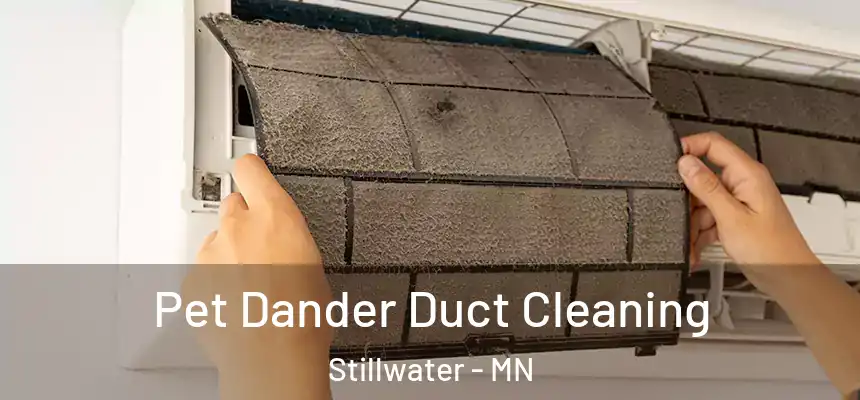  Pet Dander Duct Cleaning Stillwater - MN