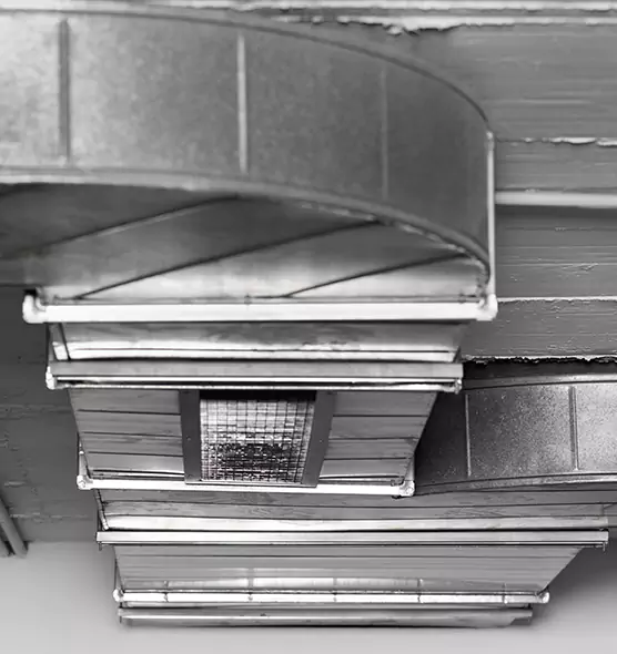 Professional Air Duct Pest Removal in Stillwater, MN