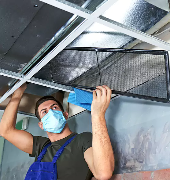 Professional Air Duct Pollen Cleaning in Stillwater, MN