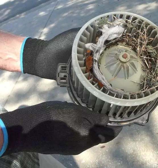 About Air Duct Rat Removal in Stillwater, MN