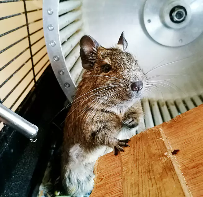 Why Homeowners & Businesses Trust Us Stillwater, MN?